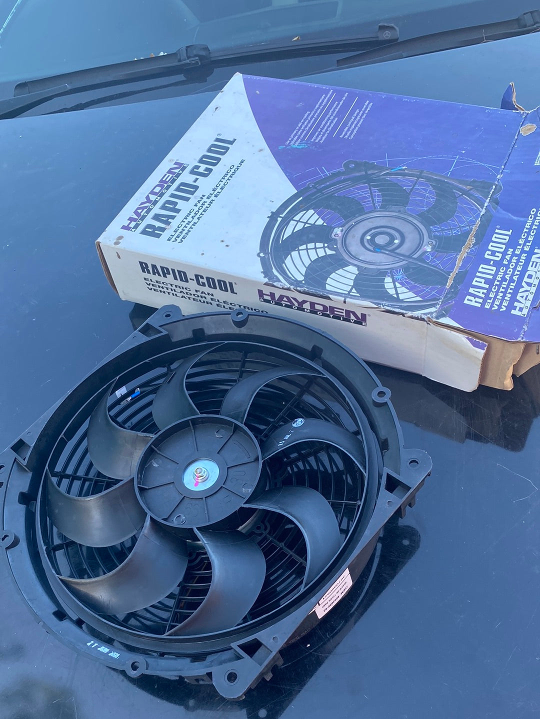 Fan ?