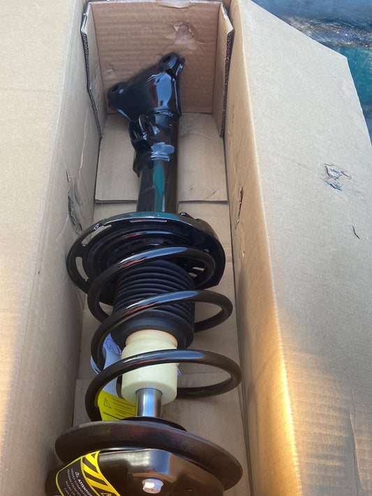 Back shocks