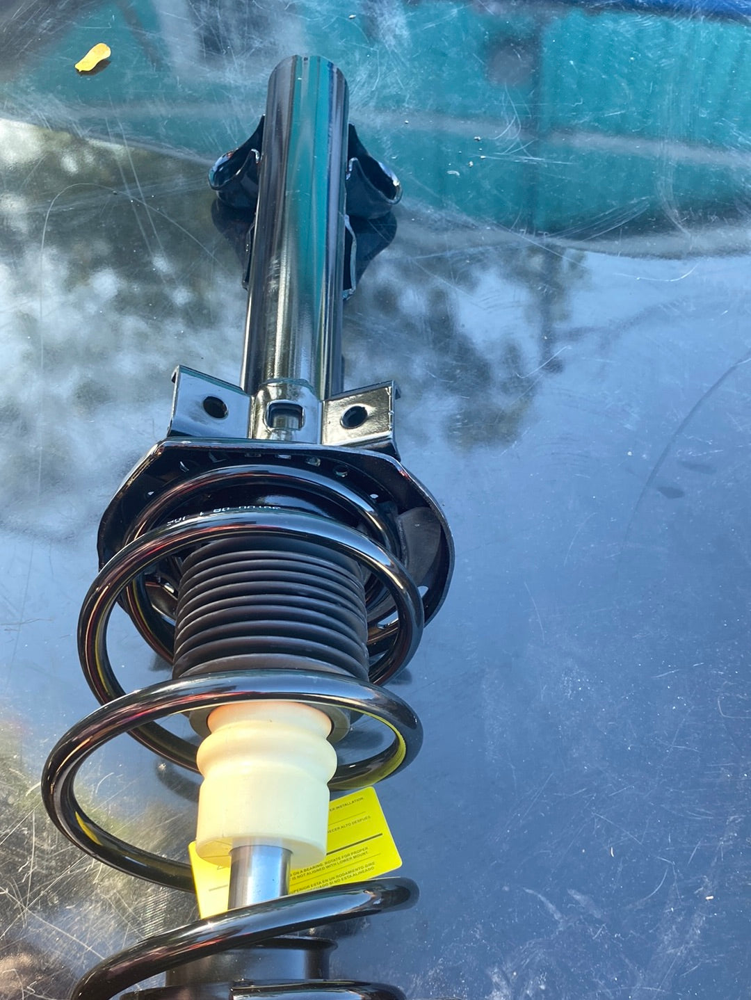 Back shocks