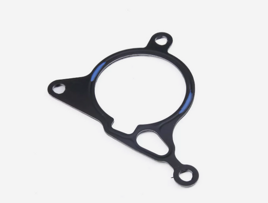 Engine Vacuum Pump Seal